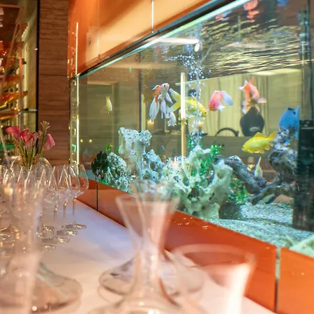 酒店 麦德莱恩酒店 伊施格尔